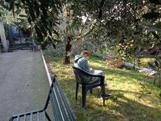 Attività laboratoriale: orto didattico