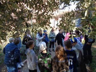 Attività laboratoriale: orto didattico