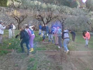 Attività laboratoriale: orto didattico