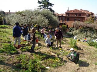 Attività laboratoriale: orto didattico