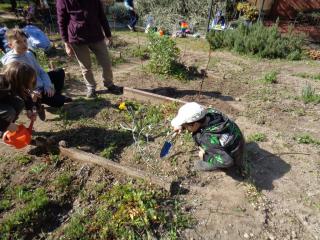 Attività laboratoriale: orto didattico