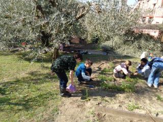 Attività laboratoriale: orto didattico