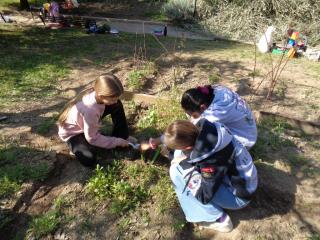 Attività laboratoriale: orto didattico