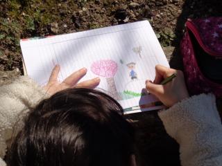 Attività laboratoriale: orto didattico