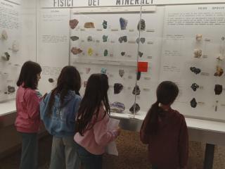 I fossili di Bolca e le sale della preistoria