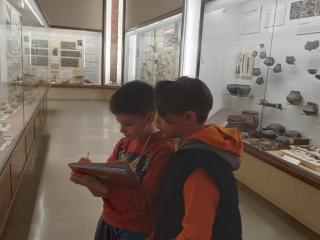 I fossili di Bolca e le sale della preistoria