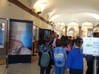 I fossili di Bolca e le sale della preistoria