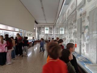 I fossili di Bolca e le sale della preistoria