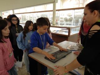 I fossili di Bolca e le sale della preistoria